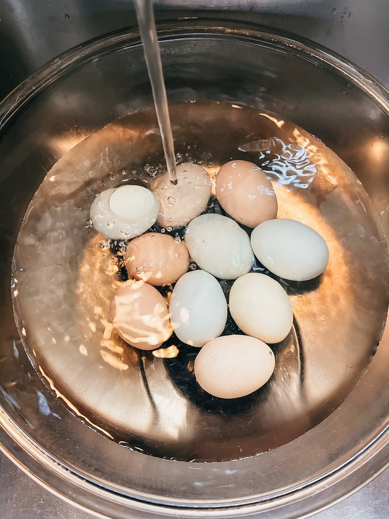 EVERYTHING YOU NEED TO KNOW ABOUT FARM FRESH EGGS