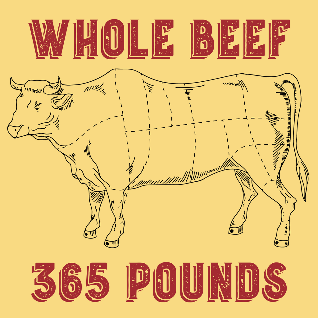 Indiana Pasture Raised Whole Freezer Beef Midwest Prime Farms
