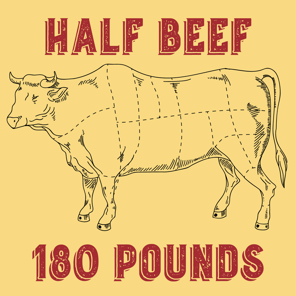 Half cow meat package - best half cow meat price at Midwest Prime Farms